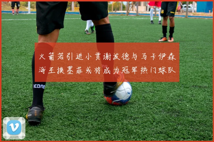 火箭若引进小贾谢泼德与马卡伊森海王换墨菲或将成为冠军热门球队